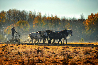 30877313236_5922b2f873_n