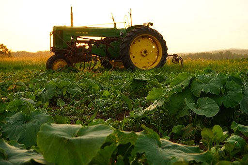 agriculture-1499424__340